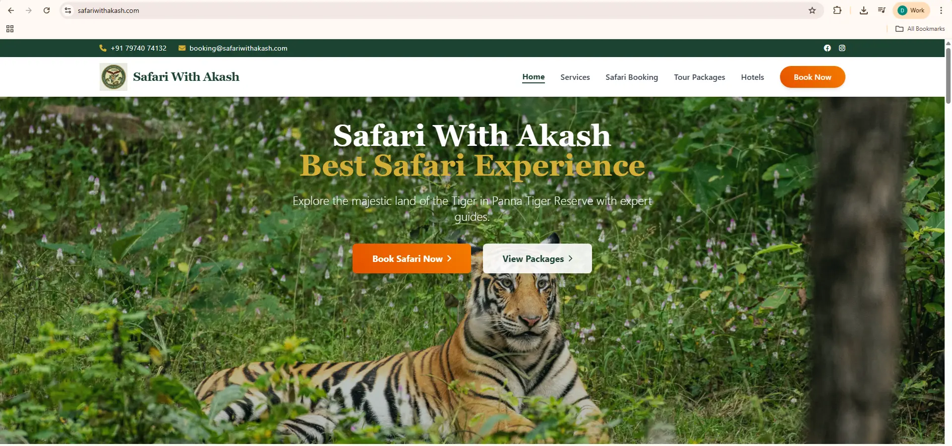 Safari
